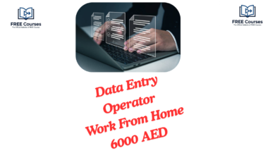 Data Entry Operator Work From Home 6000 AED