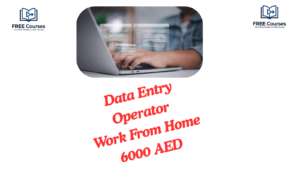 Data Entry Operator Work From Home 6000 AED