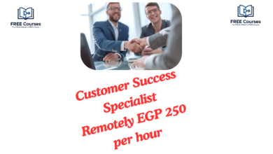 Customer Success Specialist Remotely EGP 250 per hour