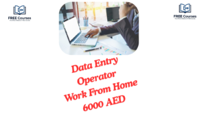 Data Entry Operator Work From Home 6000 AED
