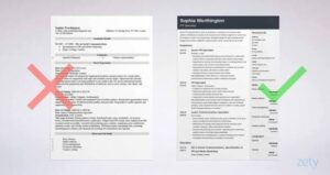 How to make your professional CV with ATS FREE