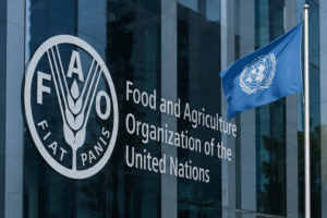 Call for Expression of Interest – Internship Programme for Near East and North Africa (RNE) 2026
